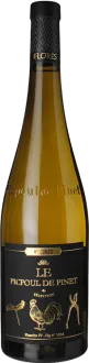 vue du vin Picpoul de Pinet 2025 Flores