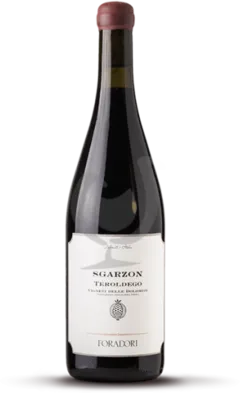 photos du vin Sgarzon