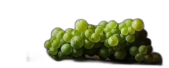 photo du vin Meursault la Barre Armand Heitz