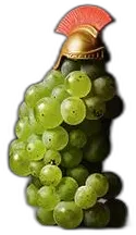 image du vin Chevalier-Montrachet Grand Cru