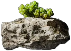 photos du vin Perrières 1er Cru
