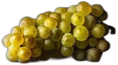 photo du vin Tête du Clos 1er Cru