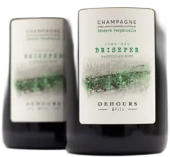 illustration du vin Extra Brut Lieu-Dit Brisefer