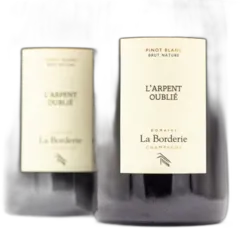 image du vin Domaine la Borderie Champagne Brut Nature "l'Arpent Oublié" Blanc nv