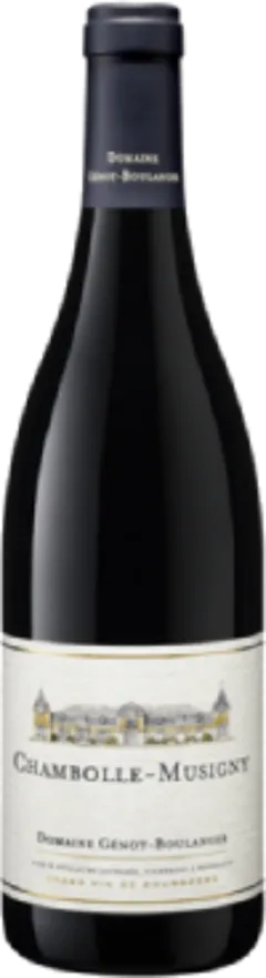 photos du vin Chambolle-Musigny 2020
