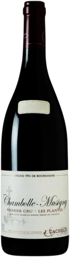 image du vin les Plantes
