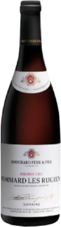 image du vin Bouchard Père & Fils Pommard 1er Cru les Rugiens Rouge 2020