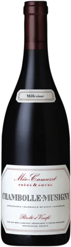 vue du vin Méo Camuzet Nuits Saint Georges 1er Cru "Aux Murgers" 1994