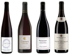 photo du vin Domaine Jean-Yves Bizot Vin Bourgogne