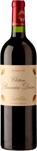 vue du vin Château Branaire Ducru 2010