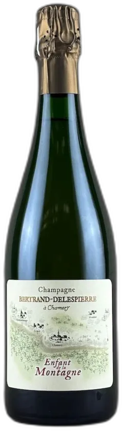 photos du vin Bertrand Delespierre Coteaux Champenois "les Hautes Vignes"