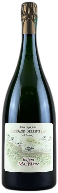 photos du vin Bertrand Delespierre Coteaux Champenois "les Hautes Vignes"