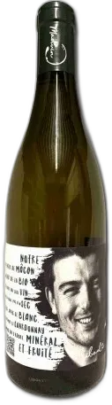 vue du vin Mâcon Chaintré Bio Madivin