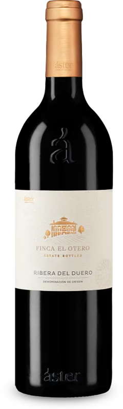 illustration du vin Aster Reserva 2022