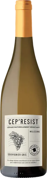 photo du vin Cep’Resist Souvignier Gris