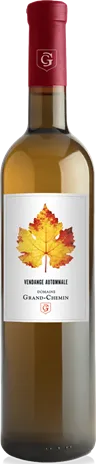 vue du vin Vendange Automnale