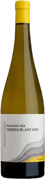 photos du vin Picpoul de Pinet Domaine des Terres Blanches