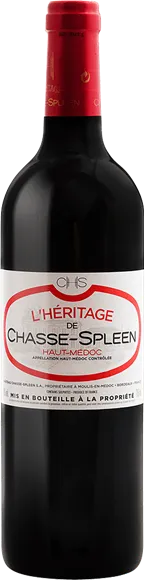 vue du vin Ermitage de Chasse Spleen Haut Médoc