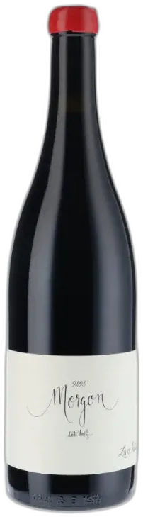 vue du vin Chassorney Morgon Côte du py