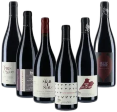 illustration du vin Saumur-Champigny la Marginale Domaine des Roches Neuves Thierry Germain