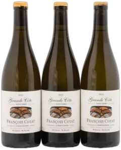 vue du vin Sancerre la Grande Côte François Cotat