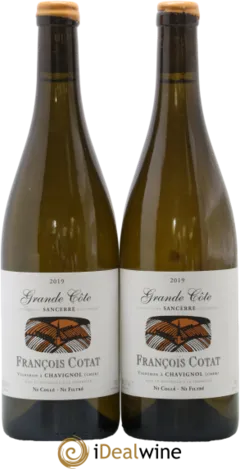 vue du vin Sancerre la Grande Côte François Cotat