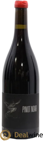 image du vin Pinot Noir les Pierres Dorees de Louis Latour