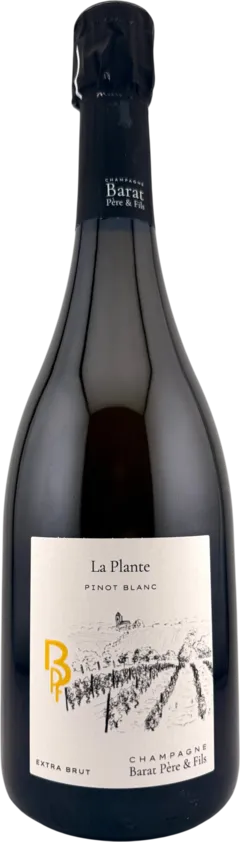 photo du vin la Plante