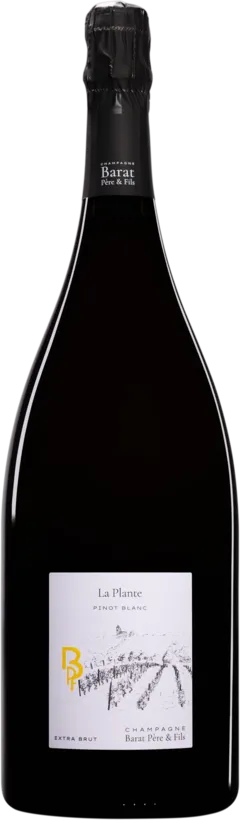 photo du vin la Plante
