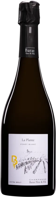 photo du vin la Plante