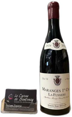 photo du vin Roger Belland Santenay 1er Cru Commes 2021