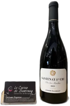 vue du vin Clos des Mouches