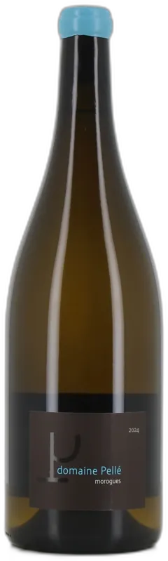 photo du vin Magnum Blanc Menetou-Salon Morogues Domaine Pellé