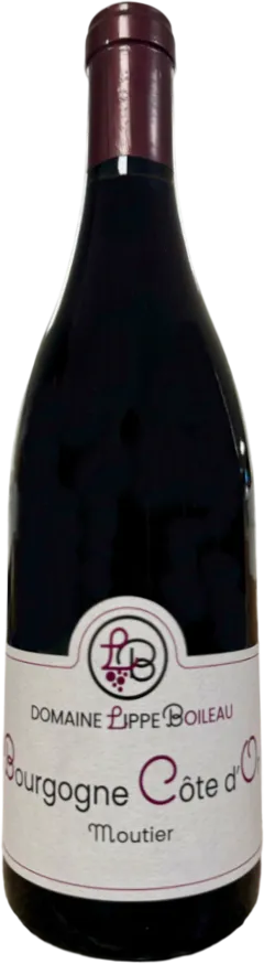illustration du vin Lippe Boileau Côtes de Nuits Villages Vieilles Vignes 2021