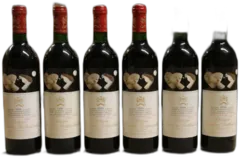 vue du vin Mouton Rothschild