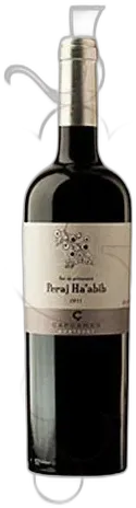 vue du vin Capçanes Peraj Petita 2021