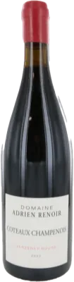 photo du vin Domaine Adrien Renoir Coteaux Champenois "Verzy" Blanc