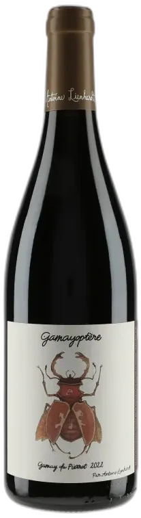 photo Côteaux Bourguignons Gamayoptère Gamay du Pierrot