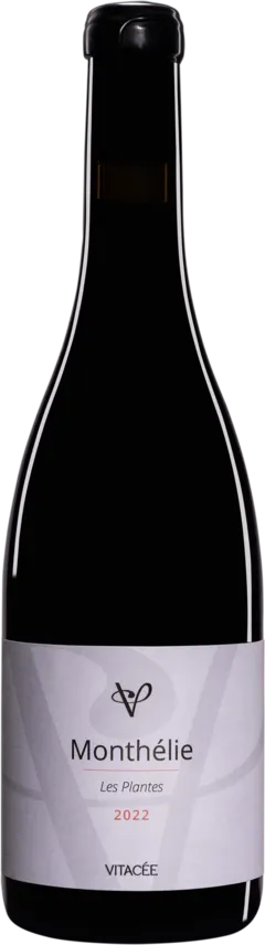 image du vin les Plantes