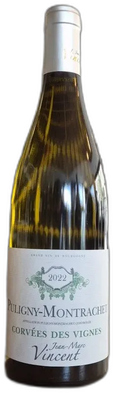 aperçu du vin Jean Marc Vincent Puligny Montrachet Corvées des Vignes 2023
