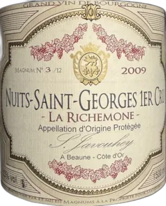 vue du vin la Richemone Magnum S.Javouhey