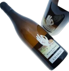 photo du vin Chablis 2022 Moreau Naudet
