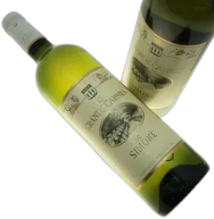 vue du vin les Grands Carmes Simone Blanc