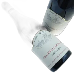 photos du vin Olivier Guyot Chambolle Musigny Vieilles Vignes