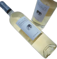 photo du vin Igp Méditerranée "le Blanc de S." Famille Sumeire