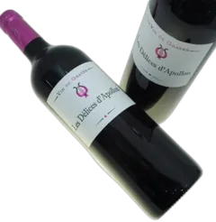 vue du vin les Délices d’Apollon