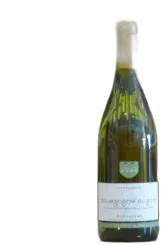 vue du vin Buissonnier