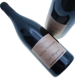 image du vin Domaine Antoine Sanzay "les Poyeux" Saumur Champigny Rouge Saumur-Champigny Bio