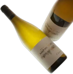 photo du vin Cantaluz Blanc 2022 Camp Del Mas