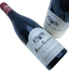 capture du vin Gevrey-Chambertin Clos Village